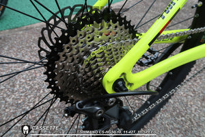 SK STORM V2 Carbon Frame T800-18K Mountain Bike 29inch with Hydraulic Brake